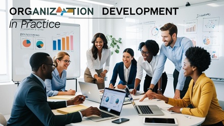 Organization Development in Practice